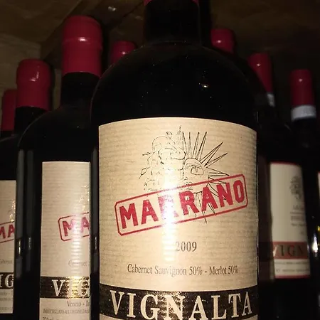 Vakantieboerderij Locanda-trattoria Al Rio Cinto Euganeo